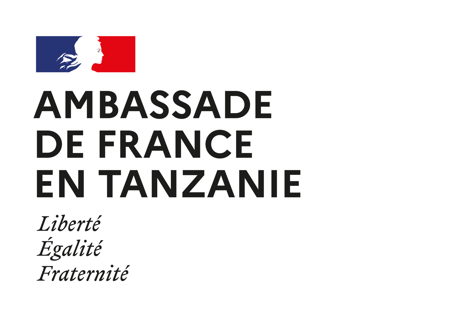 French Embassy Tanzania